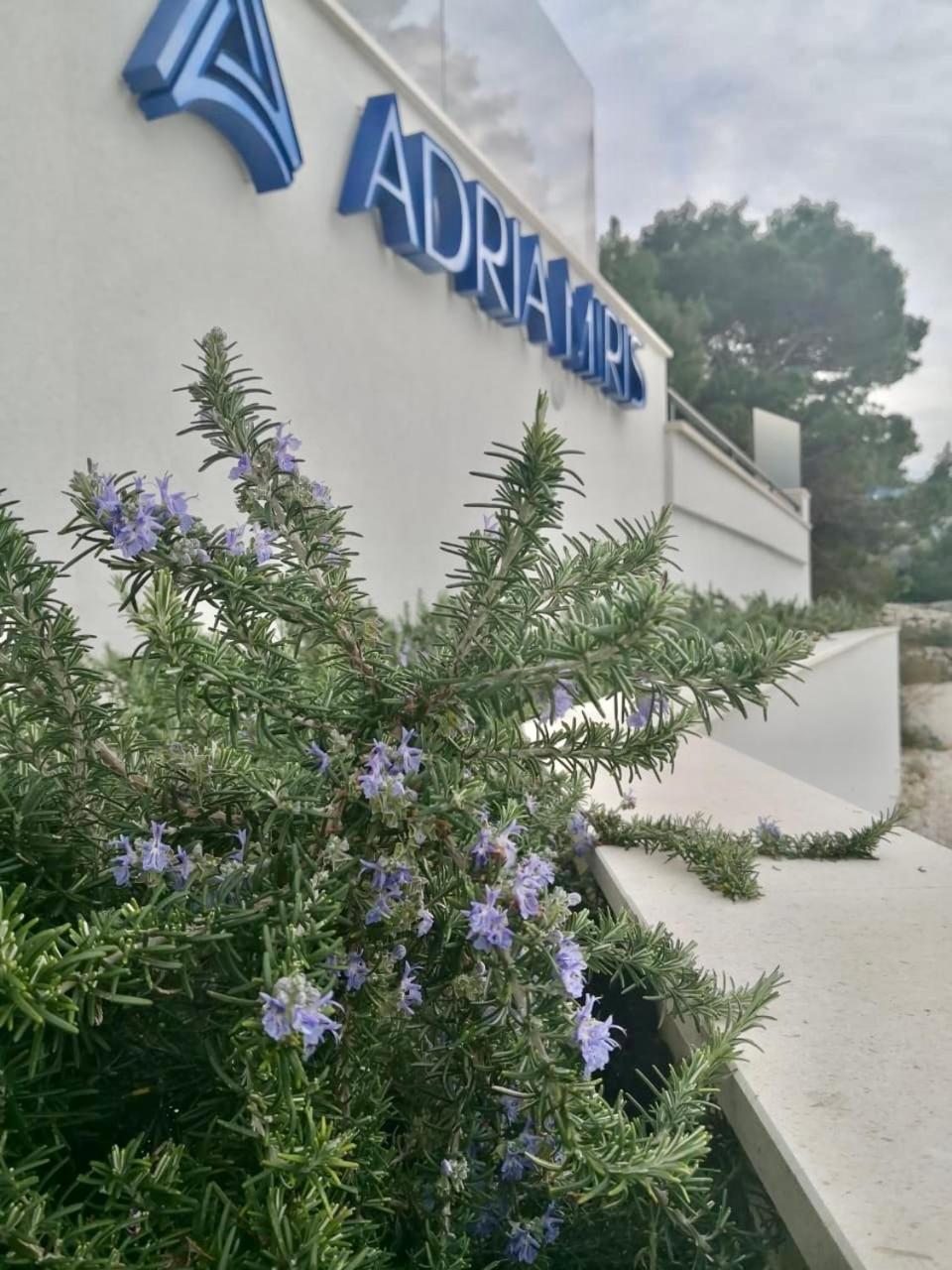 Adria Miris Apartments Drasnice Eksteriør bilde